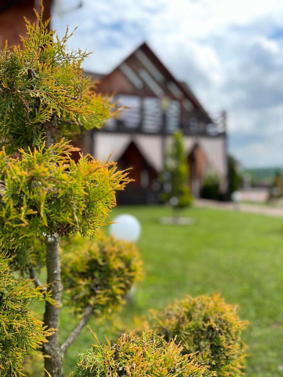 Four Seasons In Carpathians Hotel Migovo Luaran gambar